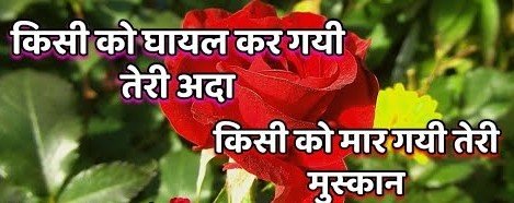 Best Jhumka Shayari in Hindi